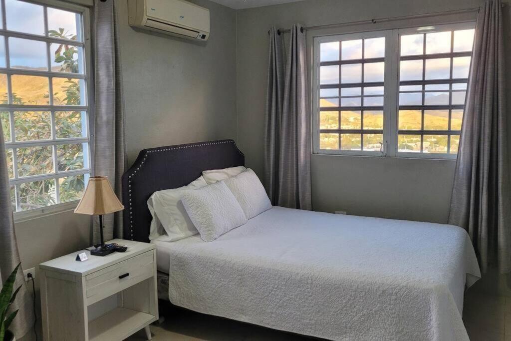 Coamo Beautiful House, Ac, 10Min Coamo Hot Springs Appartement Buitenkant foto